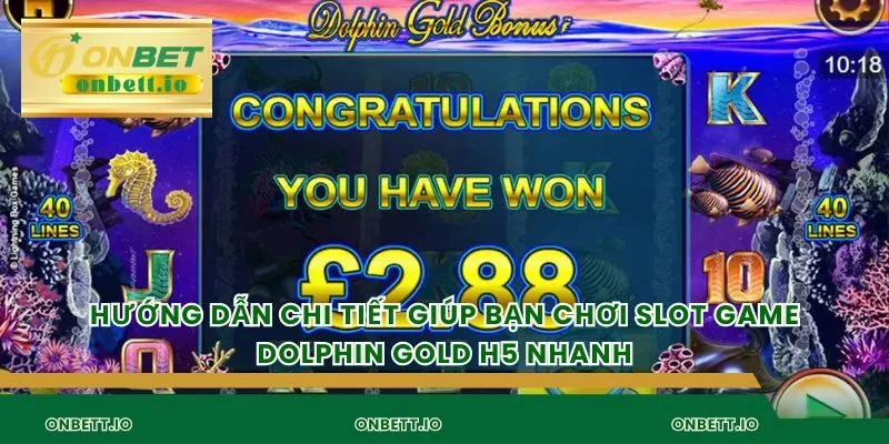 Hướng dẫn chi tiết giúp bạn chơi slot game Dolphin Gold H5 nhanh